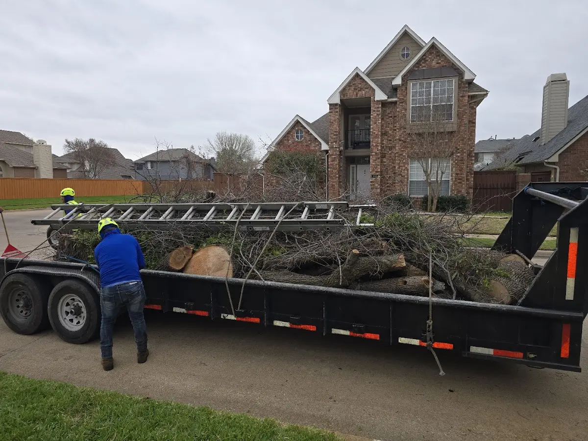 Expert Crown Reduction with proper safety equipment in East Arlington